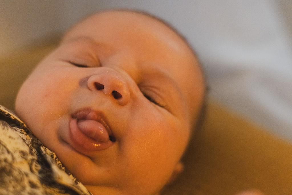 Waylon Owen Hartsfield — image 81