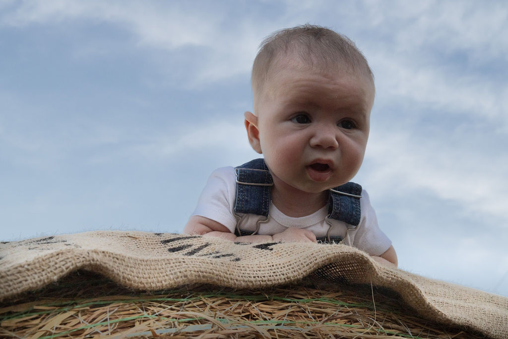 Waylon Owen Hartsfield — image 48